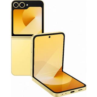 Flip 6